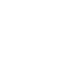 Lidl official partner